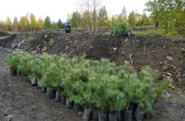 "Кузбассразрезуголь" стал лучшим по внедрению "зеленых" навыков