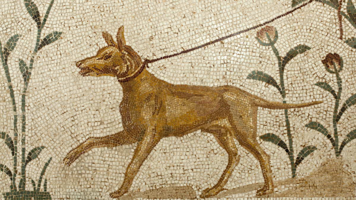 мозаика с собакой