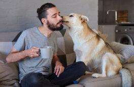 Звериное чувство: 5 признаков того, что собака вас любит