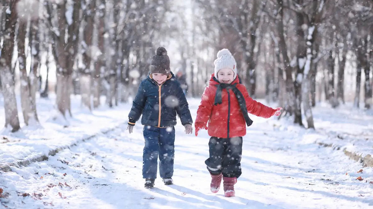 Снежную и теплую погоду пообещали москвичам на Рождество