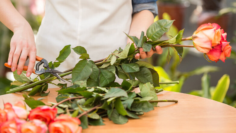 Как укоренить розу из букета: секреты выращивания цветка