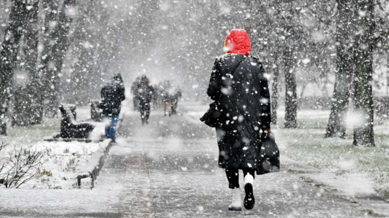 Москвичей предупредили о сильном снегопаде во время утреннего часа пик