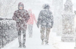 Жителей Москвы предупредили о "снежном армагеддоне"