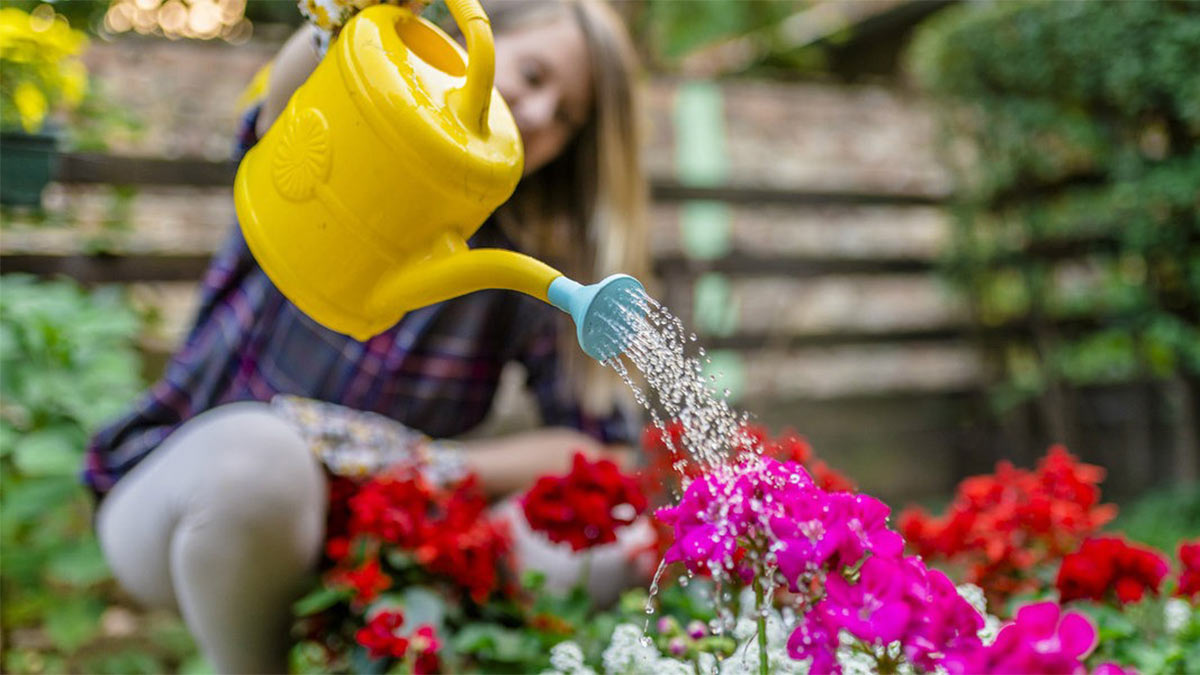 Женщина поливает цветы на садовом участке