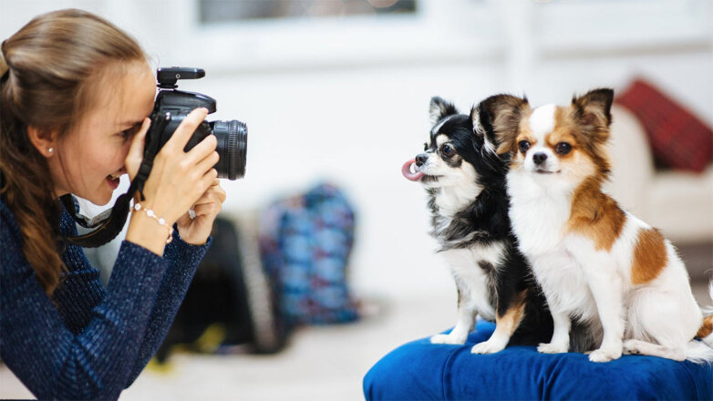 Милое фото: 3 секрета для очаровательных снимков вашей собаки