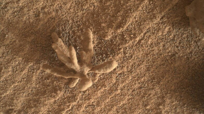 Curiosity нашел на Марсе необычный объект