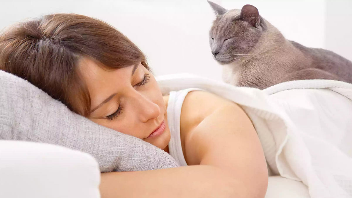 Невозможно встать: 5 причин, из-за которых кошки спят рядом с хозяевами