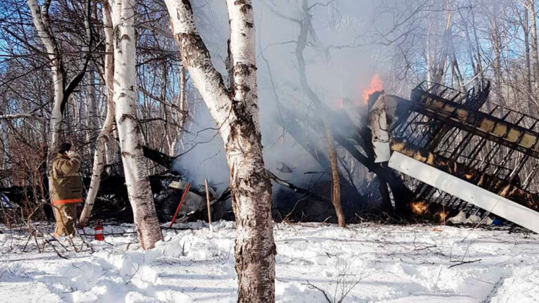 Спасатели на Камчатке обнаружили тела погибших при крушении Ан-2