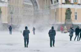 В Петербурге объявлен "желтый" уровень опасности из-за снега и гололеда