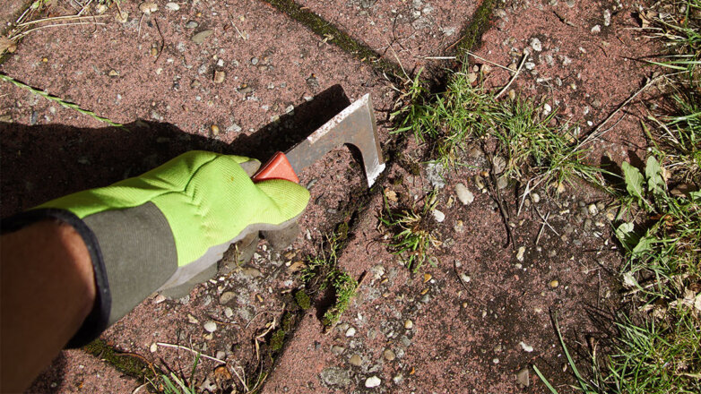 Как избавиться от сорняков на садовых дорожках между плитками: 5 легких способов