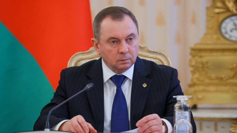 В Белоруссии предложили разработать единые стандарты проведения выборов для ЕАЭС