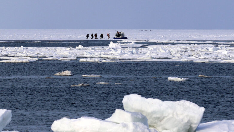 Более 50 рыбаков уносит в море на льдине возле берегов Сахалина