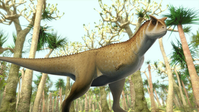 Череп "безрукого" динозавра с крохотным мозгом нашли в Аргентине