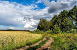 Синоптики пообещали, что это лето в России не будет холодным