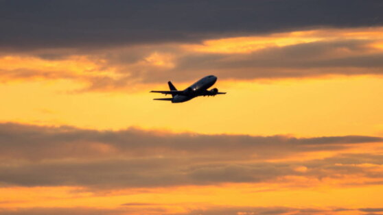 Россияне смогут улететь на отдых после 8 марта в 17 стран