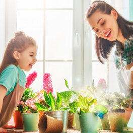 Что добавить в воду, чтобы цветы в доме распустились: 2 простых лайфхака