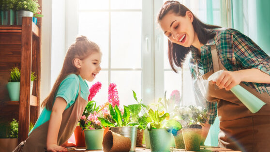 Что добавить в воду, чтобы цветы в доме распустились: 2 простых лайфхака