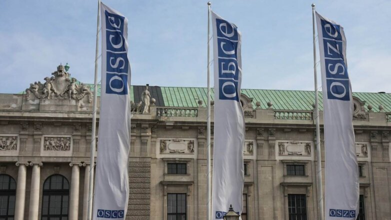 Россия на совещании ОБСЕ объяснила, что доведет спецоперацию на Украине до конца