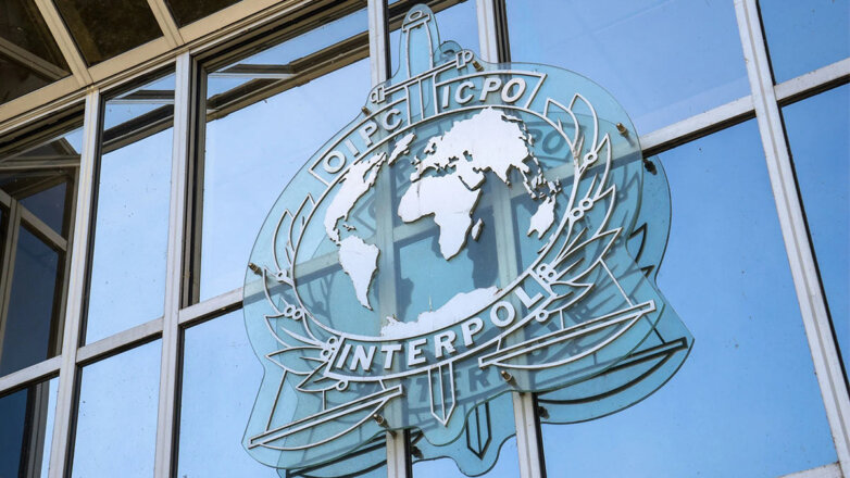 В Интерполе выразили обеспокоенность по поводу поставок оружия на Украину