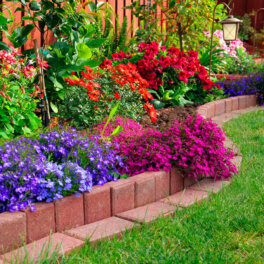 Эффектные и неприхотливые: какие цветы посадить на клумбы, чтобы было меньше хлопот