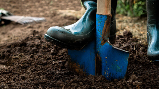 Как часто нужно перекапывать почву на участке: 4 совета для садоводов