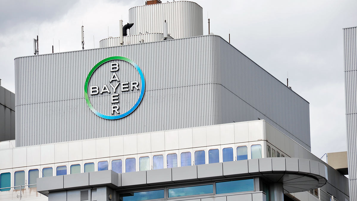 Bayer вакансии. Bayer концерн. Завод Bayer в Германии. Фармацевтика корпорации Байер Страна. Байер Ставрополь.