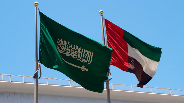 ОАЭ и Саудовская Аравия прорабатывают формирование единого визового пространства