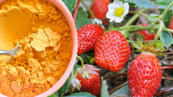 Чем подкормить клубнику: натуральное и дешевое средство для обильного урожая