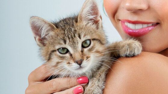 Питомец-долгожитель: 5 распространенных ошибок в уходе за кошкой