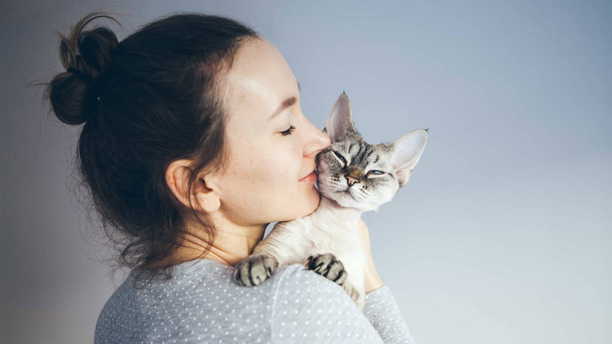 Гипоаллергенные кошки: 5 лучших пород для аллергиков