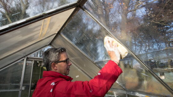 Дачный сезон: как подготовить теплицу к весне