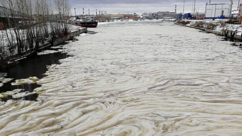Ученые объяснили необычное природное явление на реке в Санкт-Петербурге