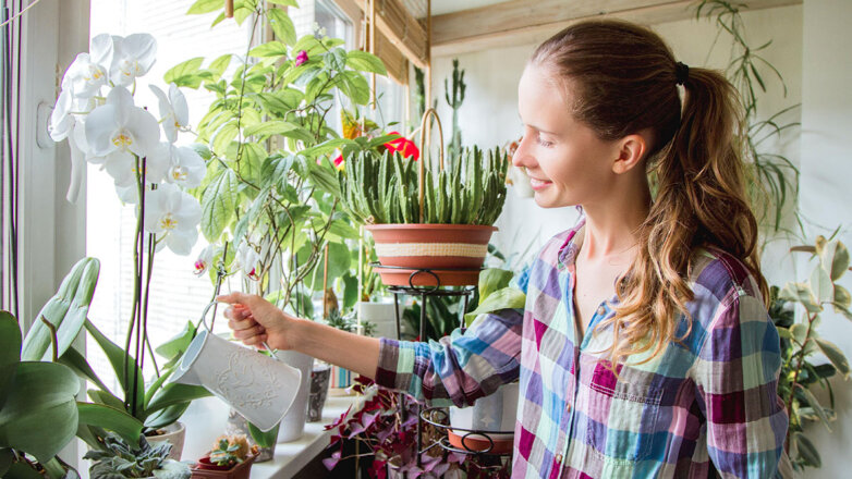 Уход за домашними растениями: 5 простых и эффективных лайфхаков
