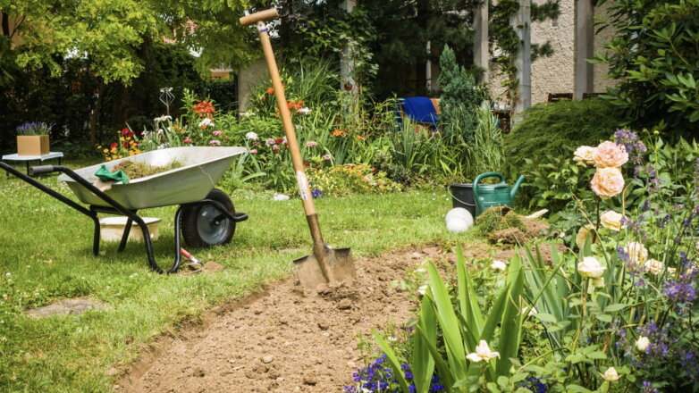 Как облегчить уход за растениями на даче: 4 совета для огородников