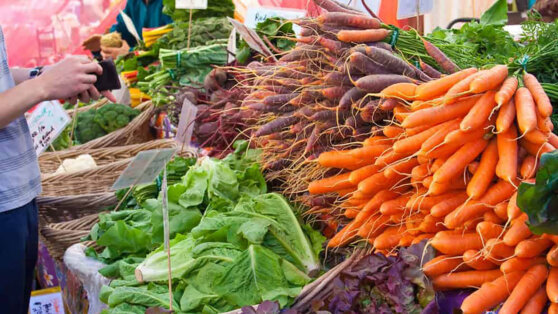 Немецкие фермеры предупредили о беспрецедентном скачке цен на продукты