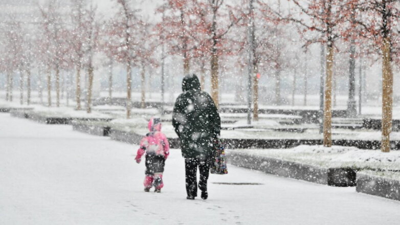 Жителей Москвы предупредили о снежной и морозной погоде 26 и 27 ноября