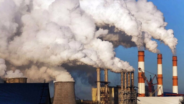 В Сахалинской области начался эксперимент по достижению углеродной нейтральности