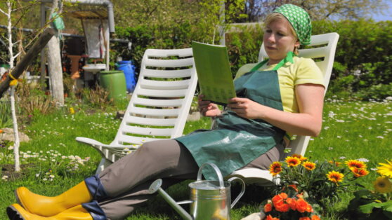 Как преобразить дачный участок: 6 экономных способов