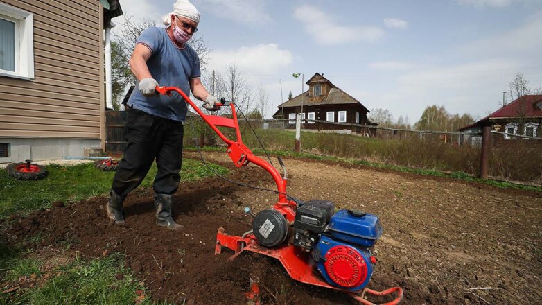 Дачный вопрос: почему россияне этой весной потянулись в сады и огороды