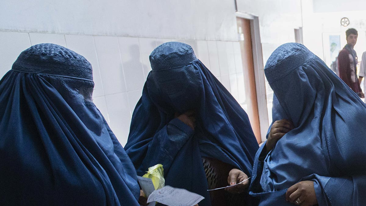 Талибы ввели раздельное обучение в вузах