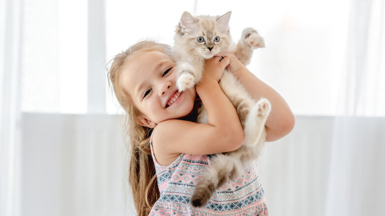 Дружелюбные и ласковые: 5 пород кошек, которые прекрасно ладят с детьми