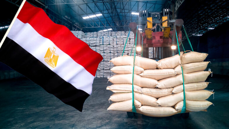 Египет закупит зерно в Европе из-за ситуации на Украине