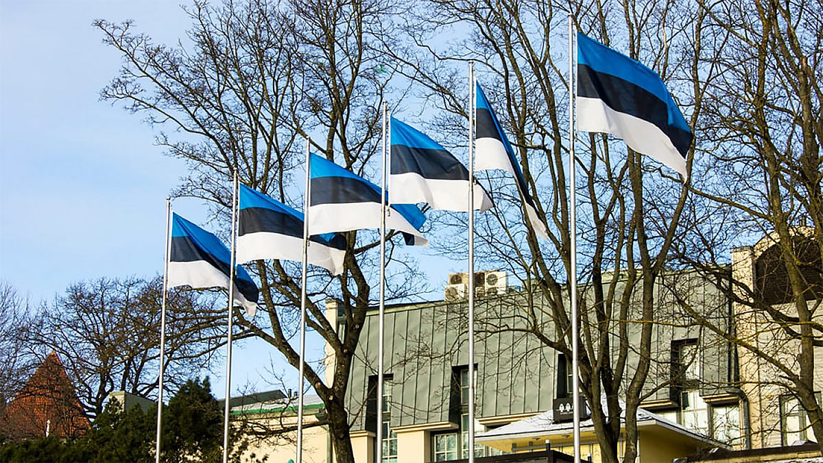 Эстония флаг правительство