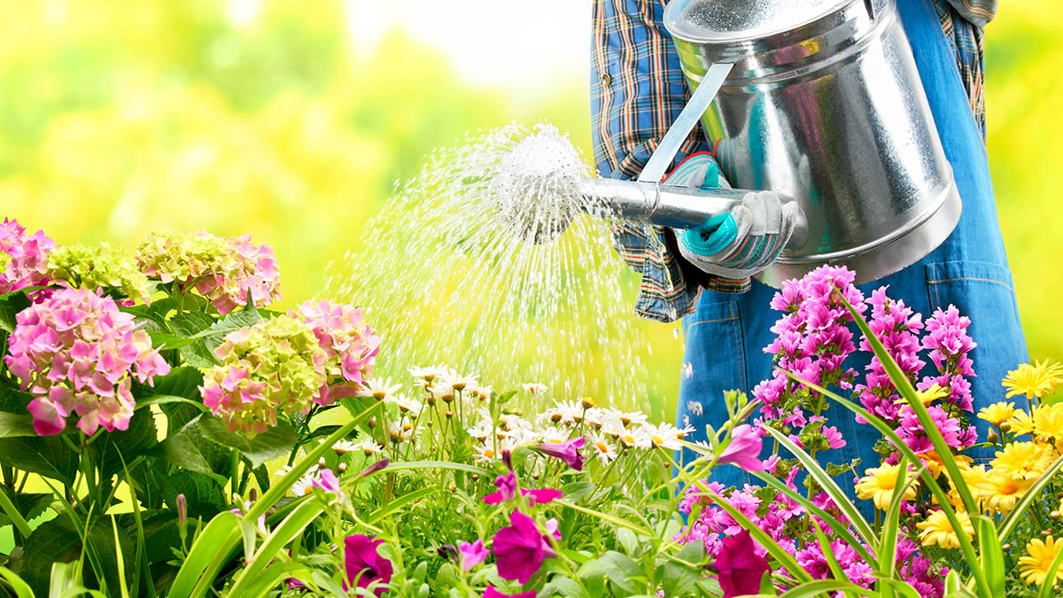 Как правильно поливать сад: простые советы для новичков