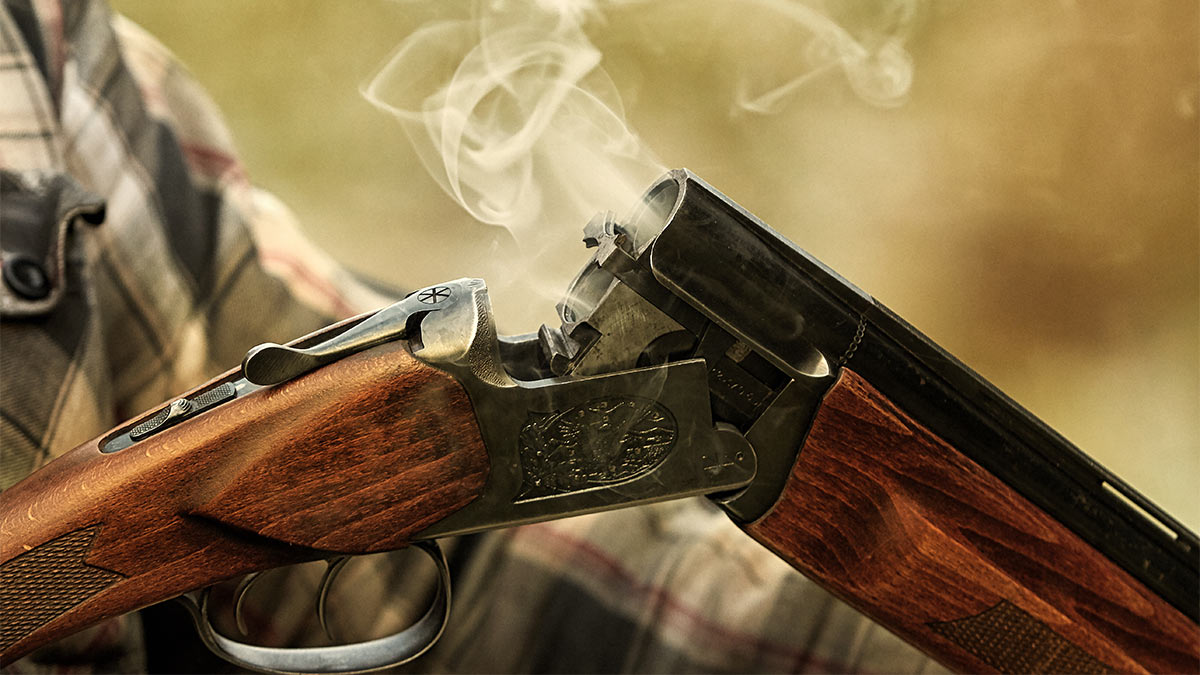 Госдума в третьем чтении одобрила проект закона об аренде охотничьего оружия