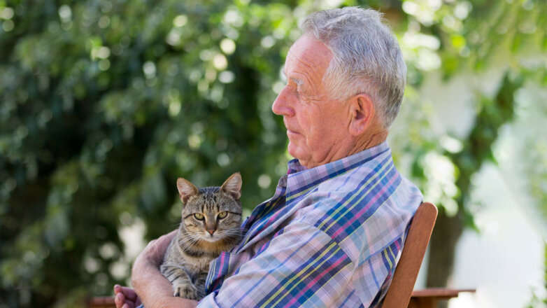 Как ухаживать за пожилой кошкой: 5 обязательных правил