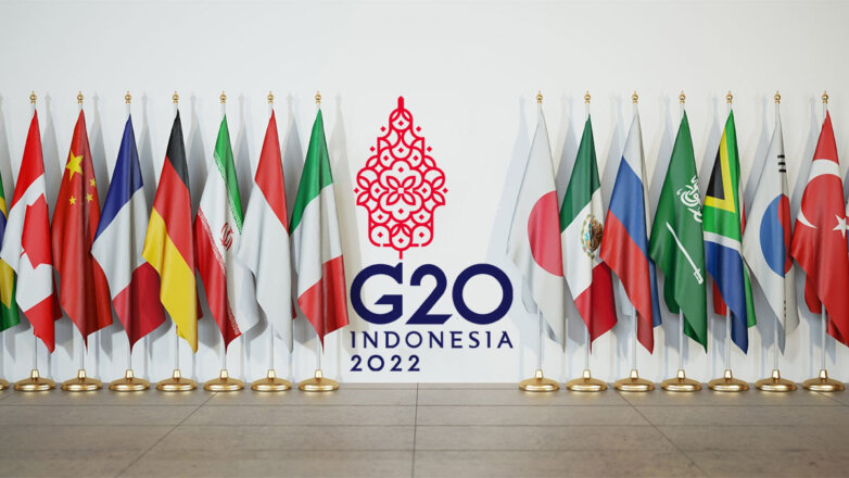 РФ примет участие в саммите G20 на Бали