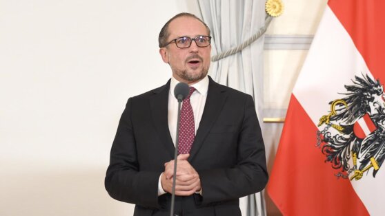 МИД Австрии выступил против полноправного членства Украины в Евросоюзе