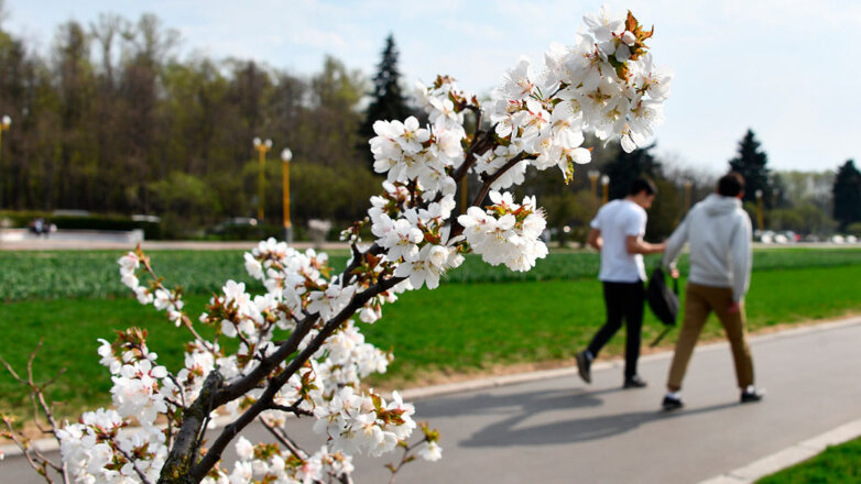 Синоптик рассказал, в каких городах России ожидается теплая погода на майские праздники