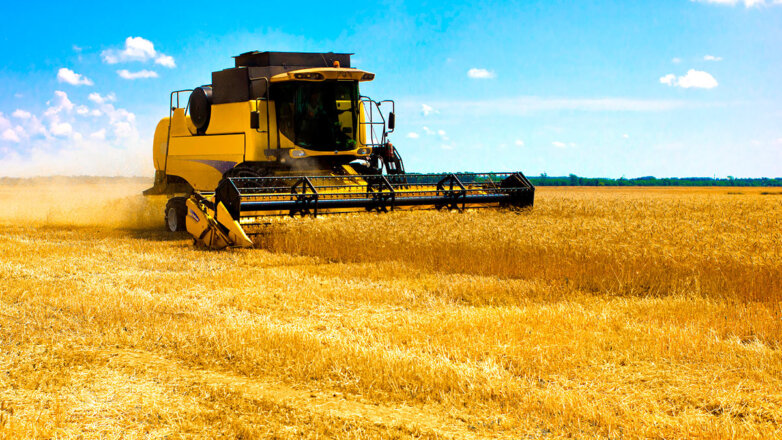 В России спрогнозировали рекордный урожай зерновых в 2022 году